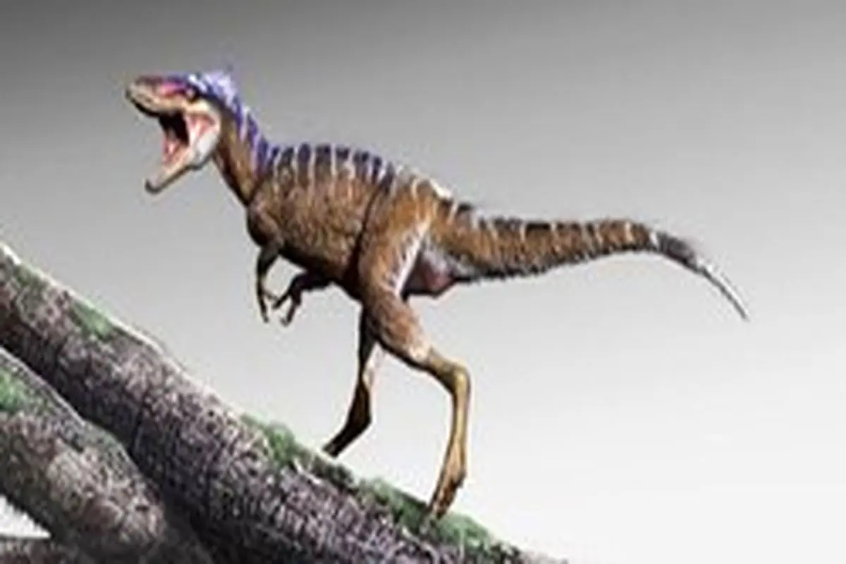 کشف دایناسوری کوچک‌تر از انسان