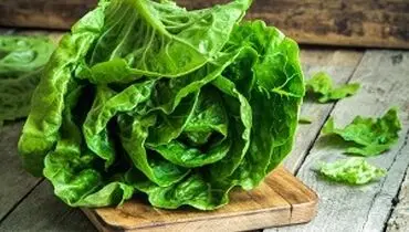 نگران باکتری‌های کاهو نباشید