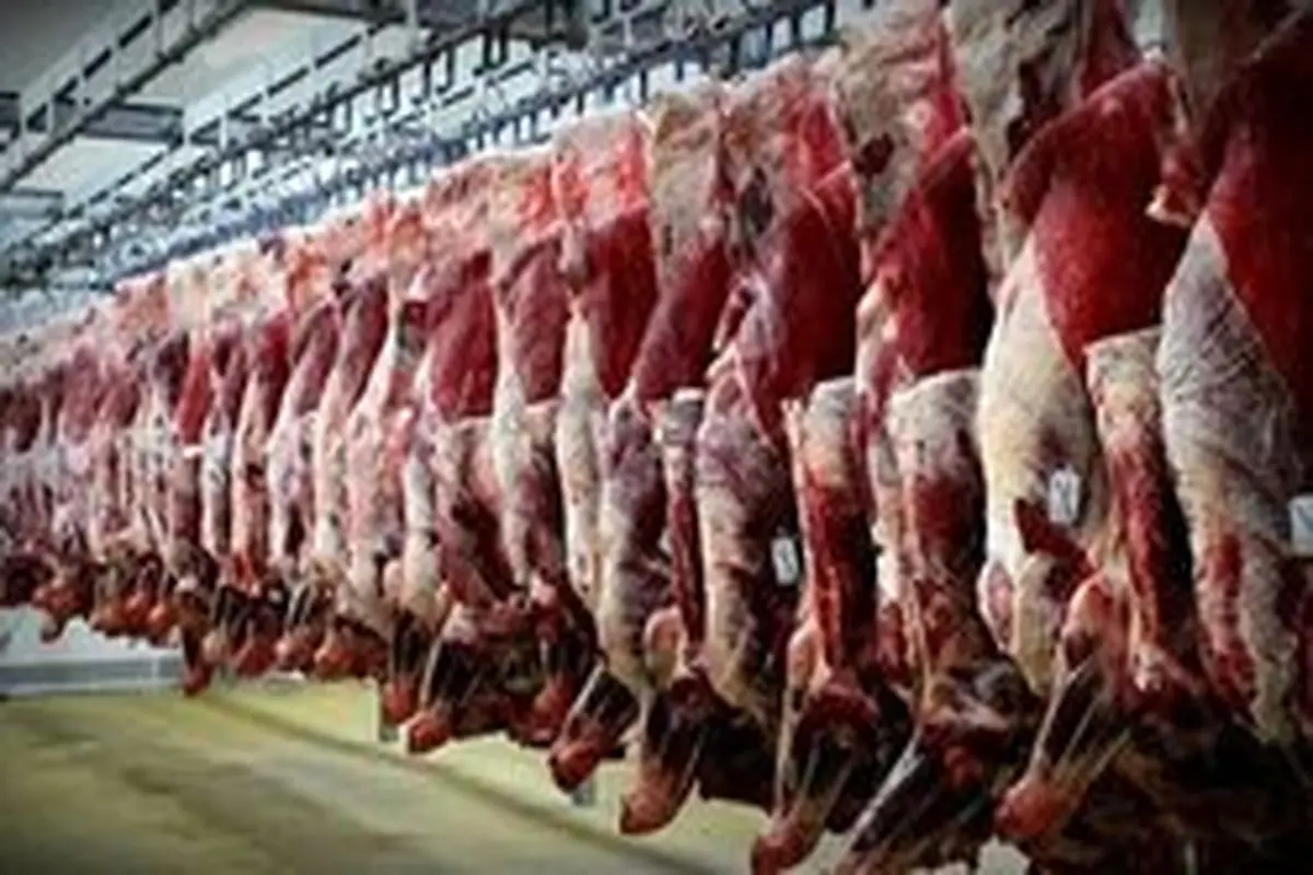 بحران گوشت کشور دست این ۵ شرکت است