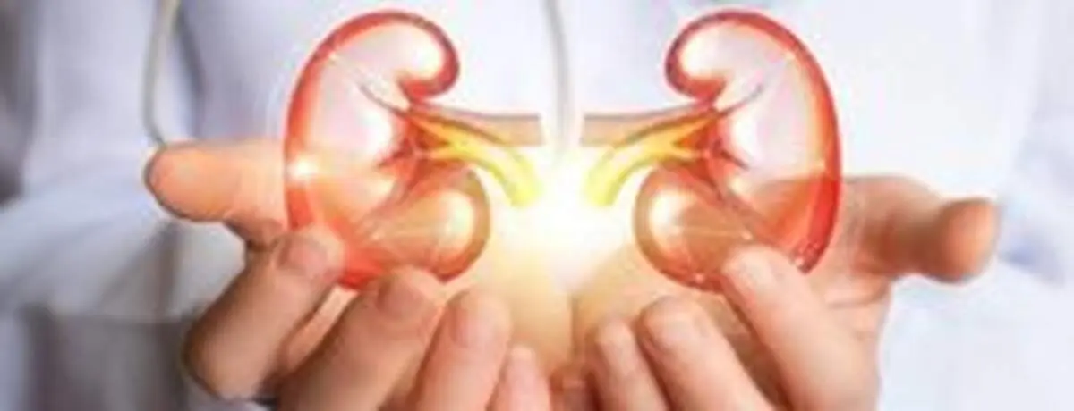 نکاتی ساده پیرامون سلامت کلیه