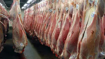 معطلی بیش از ۲۰ هزار تن گوشت در بنادر بخاطر مشکل ارز!
