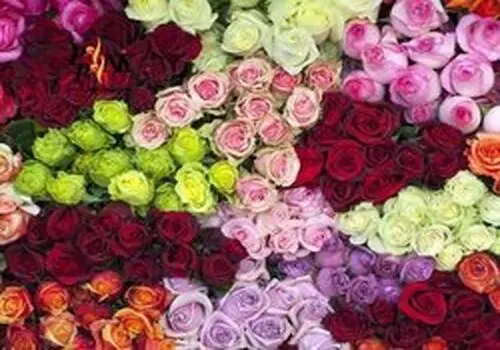 چند پیام تبریک مخصوص روز مادر