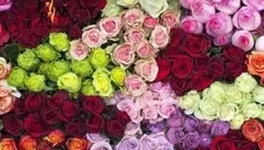 گل در آستانه روز مادر ۵۰ درصد گران شد