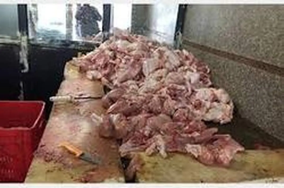 کشف مرغ‌های فاسد در تالار پذیرایی
