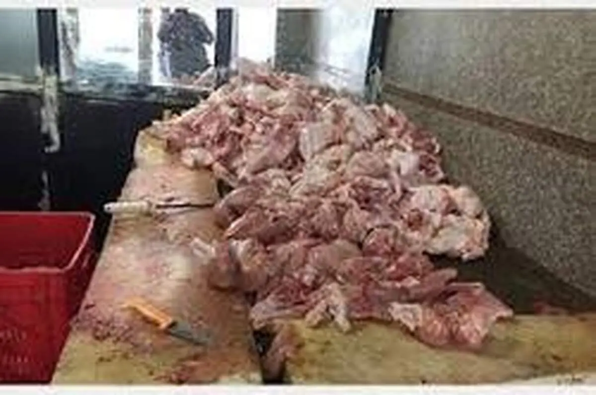 کشف مرغ‌های فاسد در تالار پذیرایی