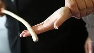 ضرب و شتم ۲ دانش‌آموز دبستانی در البرز