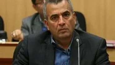معمای گرانی گوشت