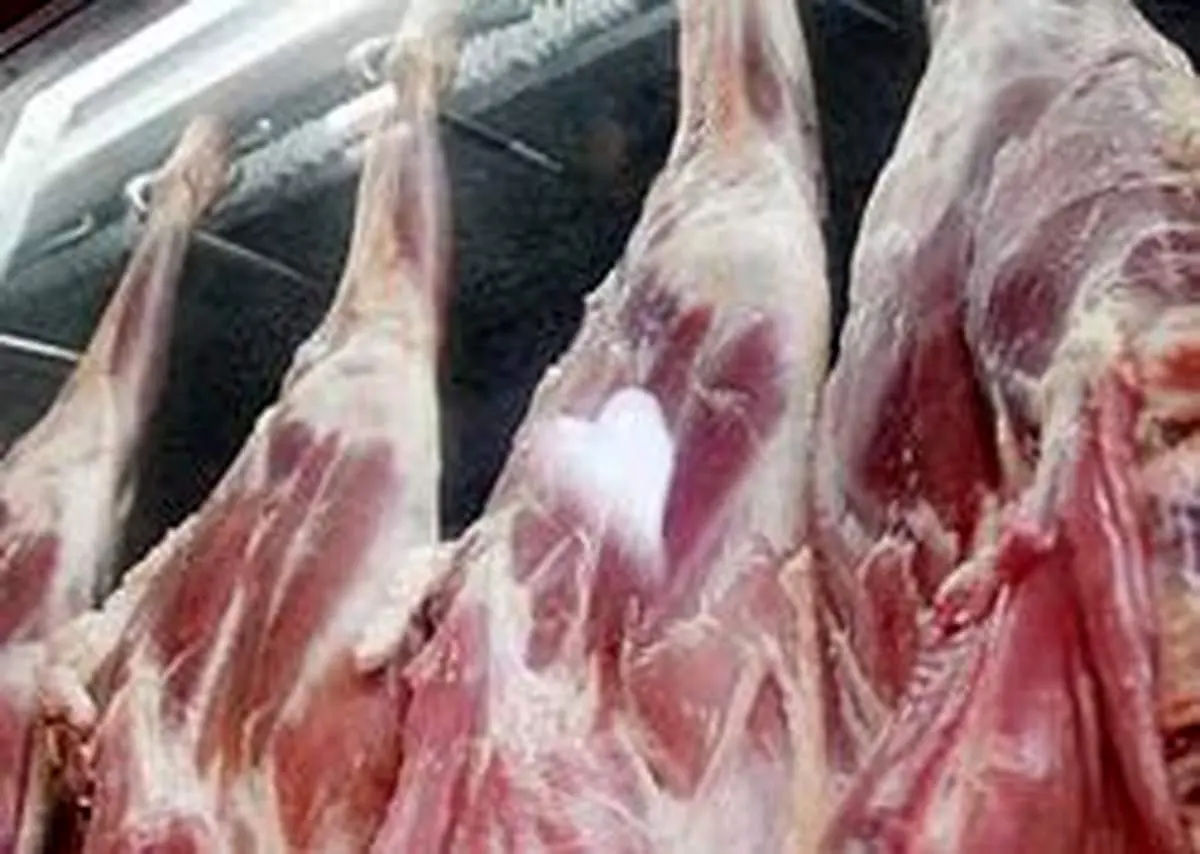 از ترخیص ۱۵۴ کانتینر گوشت تا عرضه ۶۰ کانتینر گوشت دیگر به بازار