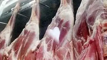 از ترخیص ۱۵۴ کانتینر گوشت تا عرضه ۶۰ کانتینر گوشت دیگر به بازار