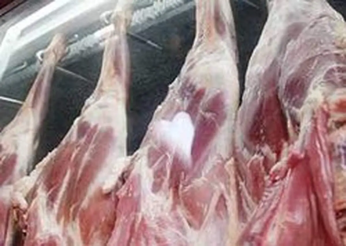 از ترخیص ۱۵۴ کانتینر گوشت تا عرضه ۶۰ کانتینر گوشت دیگر به بازار
