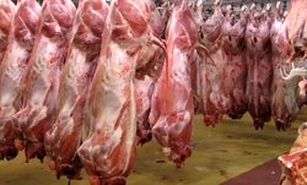 افزایش ۱۳۵ درصدی واردات گوشت قرمز در یک سال