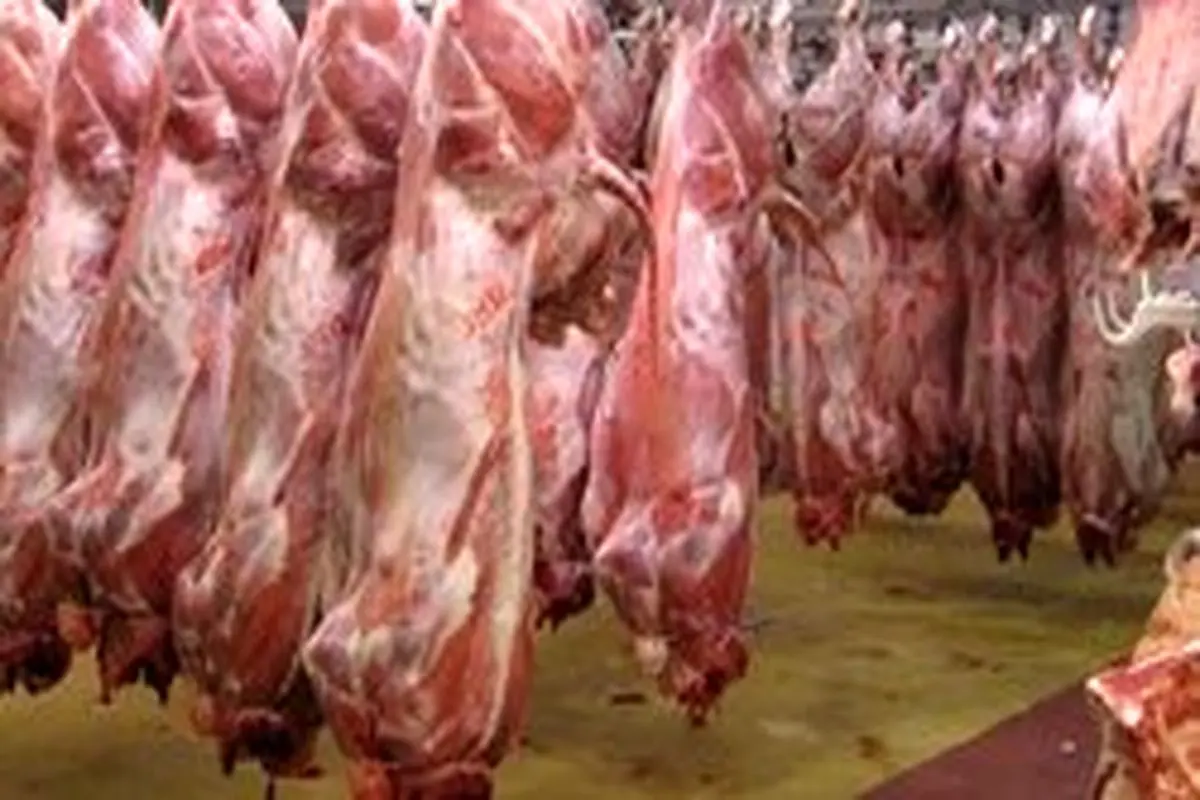 افزایش ۱۳۵ درصدی واردات گوشت قرمز در یک سال