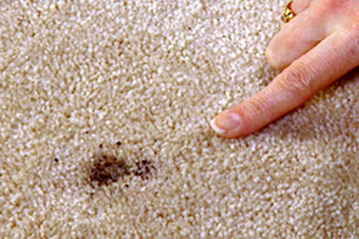 راههای از بین بردن سوختگی فرش