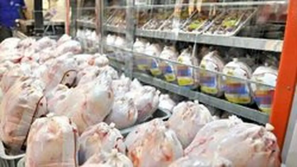 چرا قیمت مرغ باز هم افزایش یافته؟