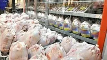 چرا قیمت مرغ باز هم افزایش یافته؟