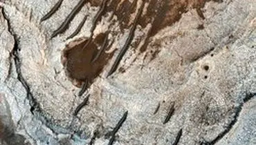 "کرم‌های" بیابان مریخ را ببینید+عکس