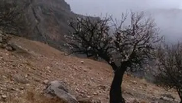 آخرین وضعیت جوی پایتخت