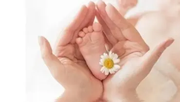 فرصت های بارداری بعد از زایمان کدامند ؟