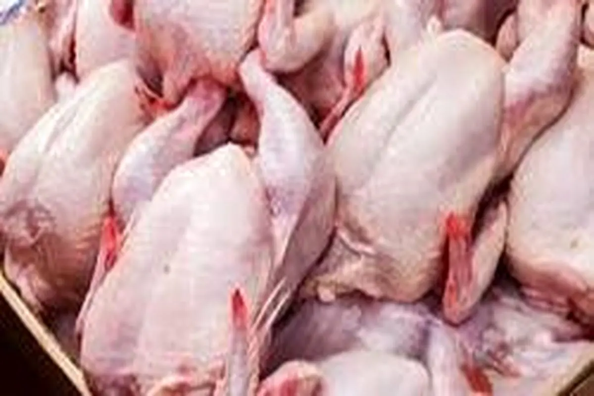 واکنش رسمی به فروش مرغ مُرده در بازار
