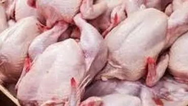واکنش رسمی به فروش مرغ مُرده در بازار