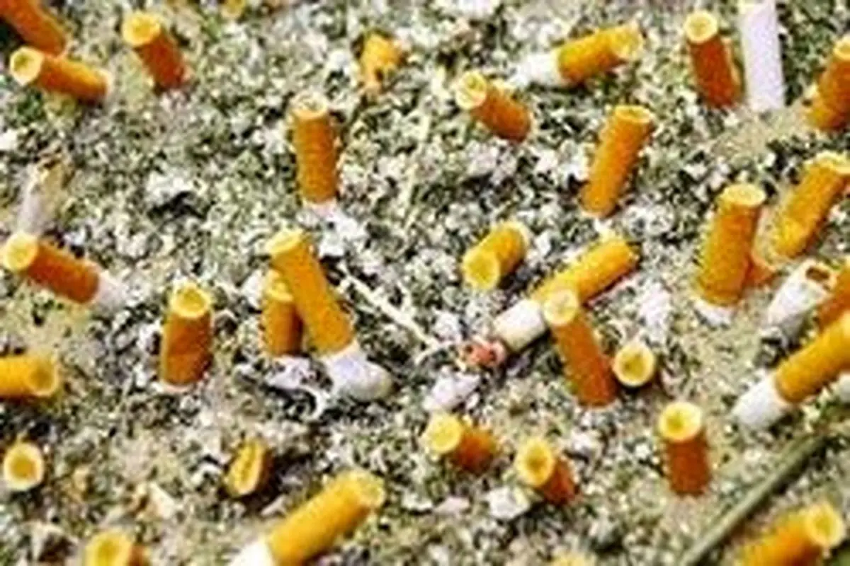 فیلتر سیگار ۳ هزار ماده خطرناک دارد