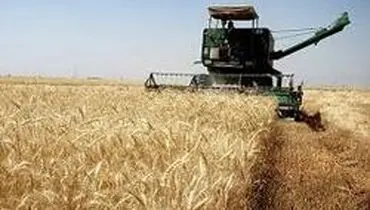 واکنش یک مسئول درباره شایعه قحطی در کشور!