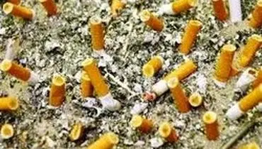 فیلتر سیگار ۳ هزار ماده خطرناک دارد