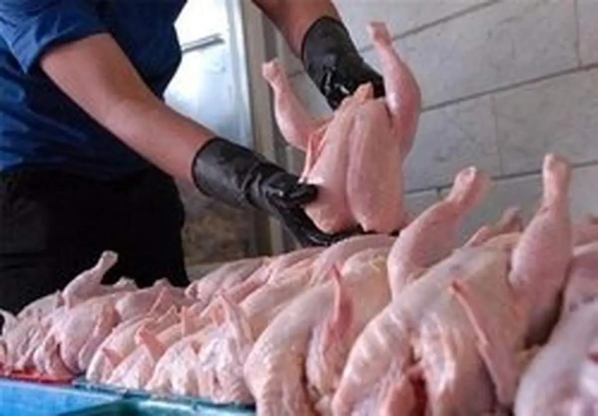 مرغ ۱۶ هزار تومانی جایگزین گوشت شد