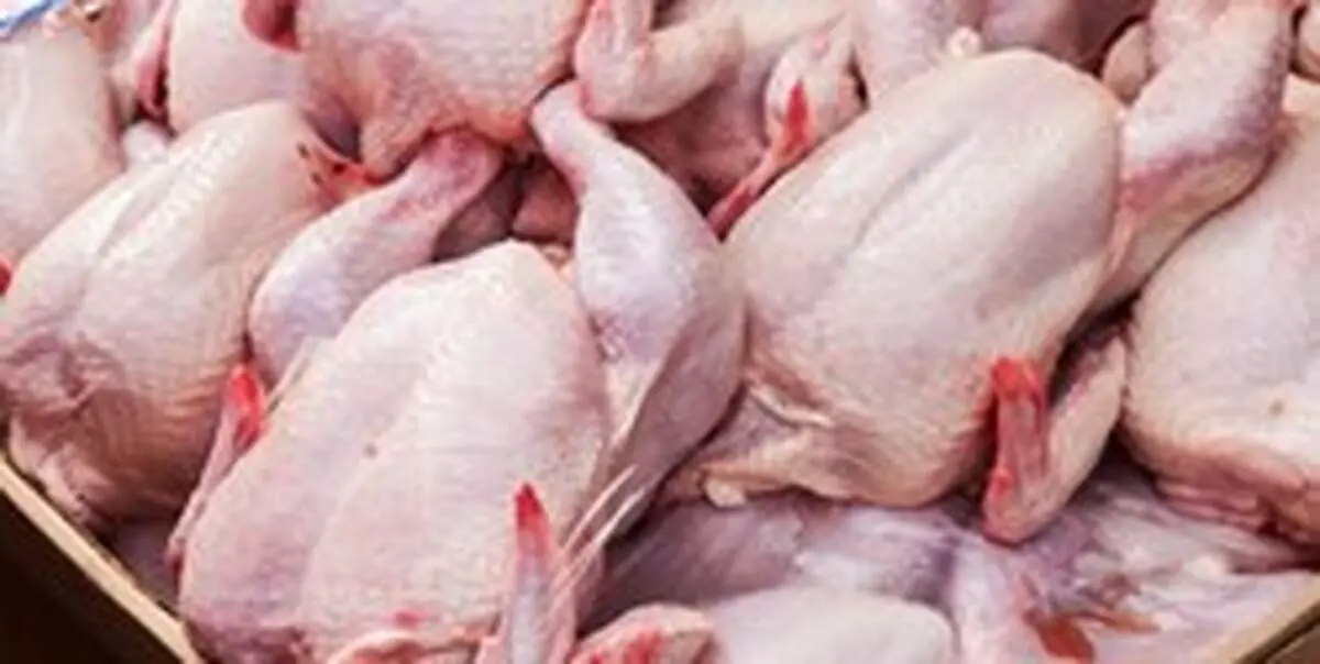 کاهش قیمت مرغ آغاز شد