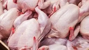 کاهش قیمت مرغ آغاز شد