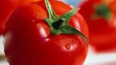گوجه‌فرنگی، معجزه‌گر درمان کبد چرب