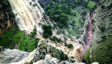 اینجا آمازون نیست! +عکس