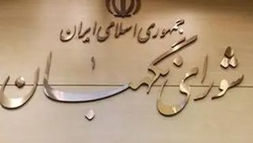 شورای نگهبان مکلف به فراهم کردن امکان ثبت شکایت الکترونیک نامزدها شد