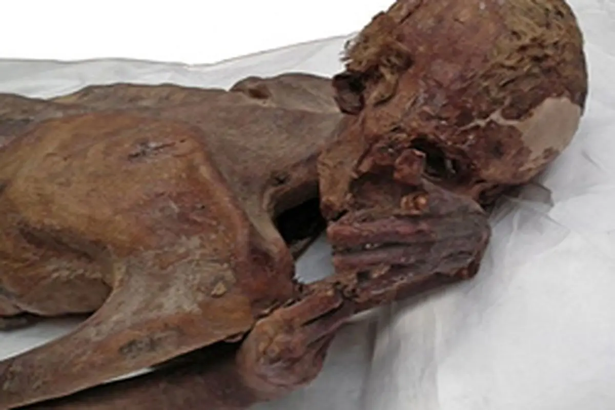 ﻿کشف قدیمی‌ترین خالکوبی جهان در مصر+عکس