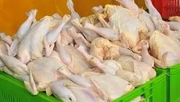 مرغ را گران‌تر از ۱۱ هزار و ۵۰۰ تومان نخرید