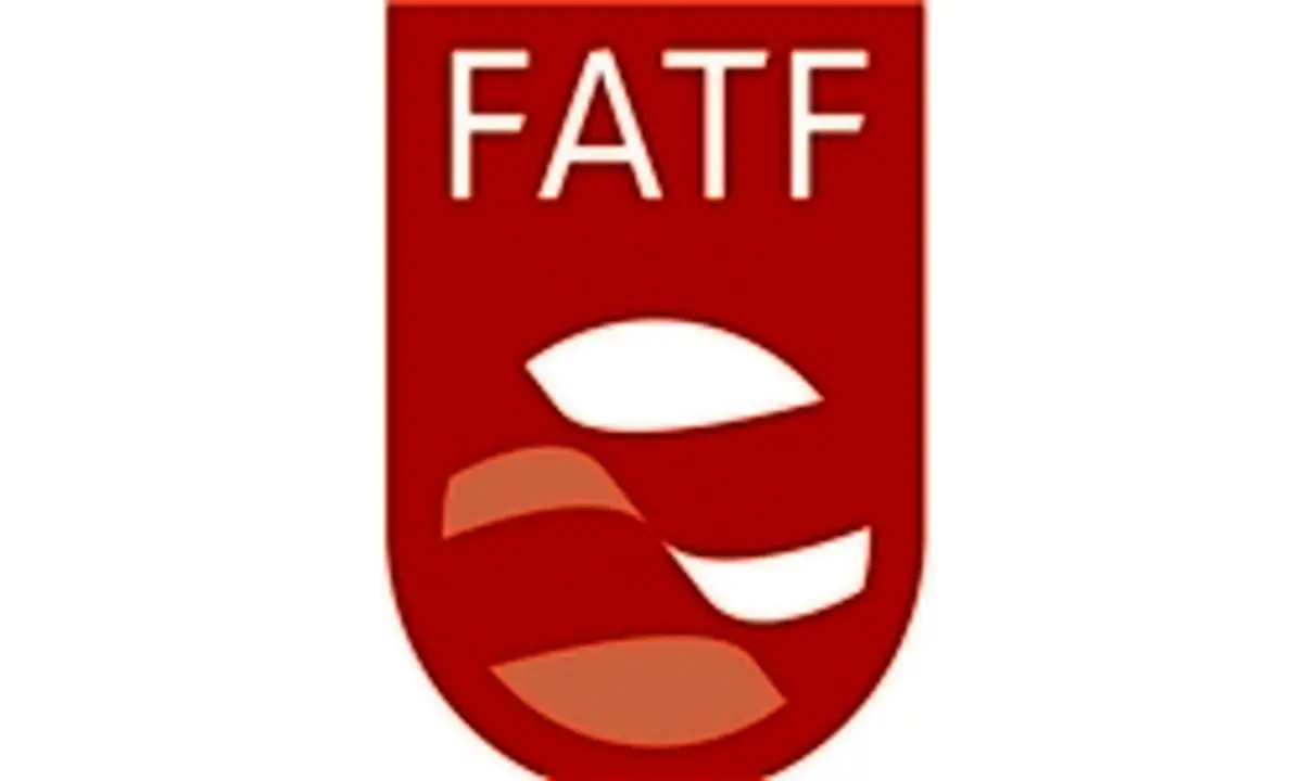 بزرگترین ابهام برای گروه مخالف FATF چیست؟
