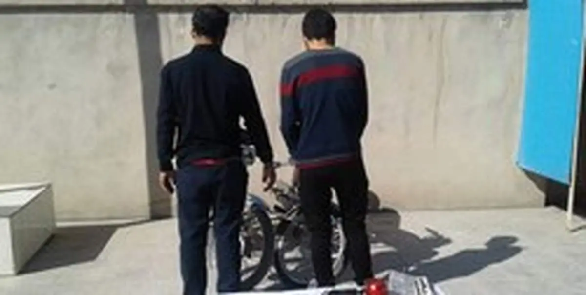 دستگیری سارقین حرفهای پلاکهای خودرو در برازجان