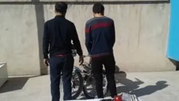 دستگیری سارقین حرفه‌ای پلاک‌های خودرو در برازجان