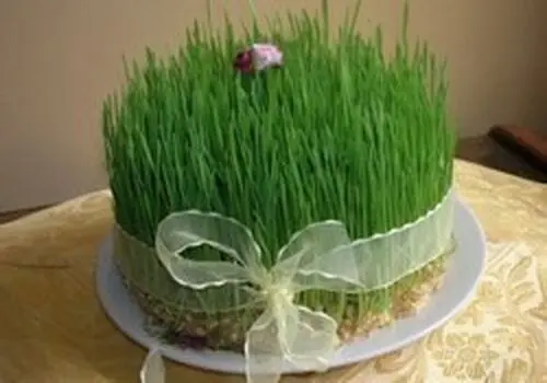 چند ایده عیدی برای بچه ها در عید نوروز