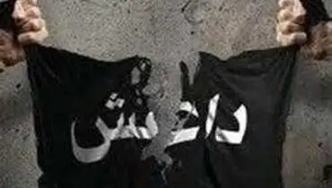 بازداشت یک داعشی در جورجیای آمریکا
