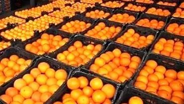 صادرات میوه، شیرخشک و نئوپان آزاد شد