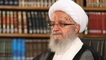 آیت‌الله مکارم‌شیرازی: تأسف‌خوردن کافی نیست؛ برای رفع مشکلات راه حل پیدا کنید