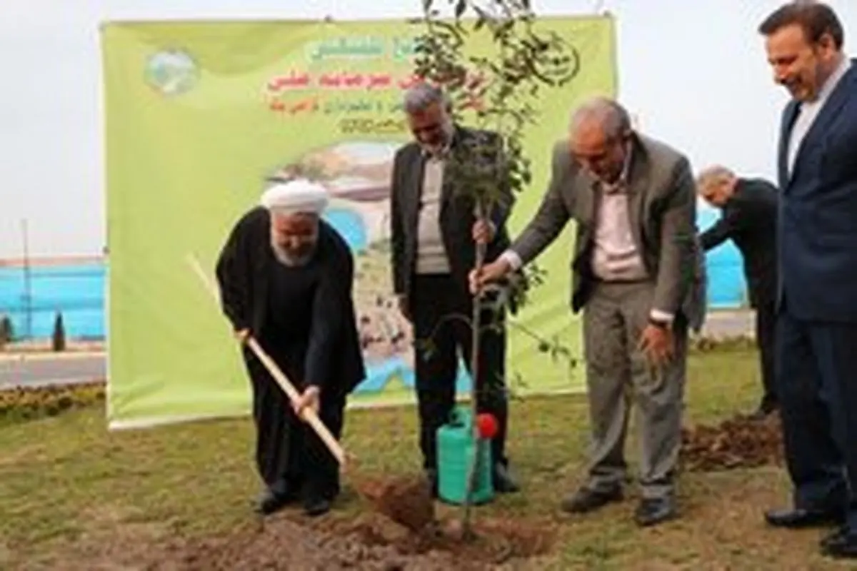 روحانی: همگان در عرصه درختکاری تلاش کنند