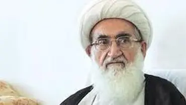 آیت الله نوری: شیعه به درستی معرفی نشده است