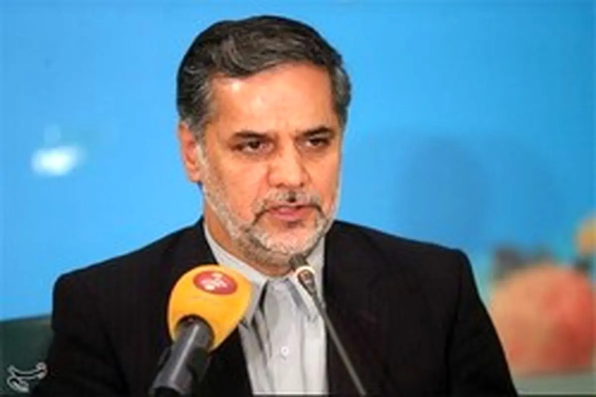 نقوی حسینی: دولت انگیزه کار ندارد
