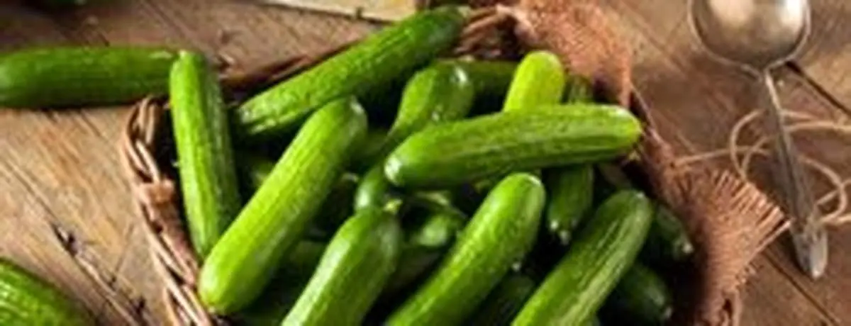 دانستنی هایی درباره فواید خیار
