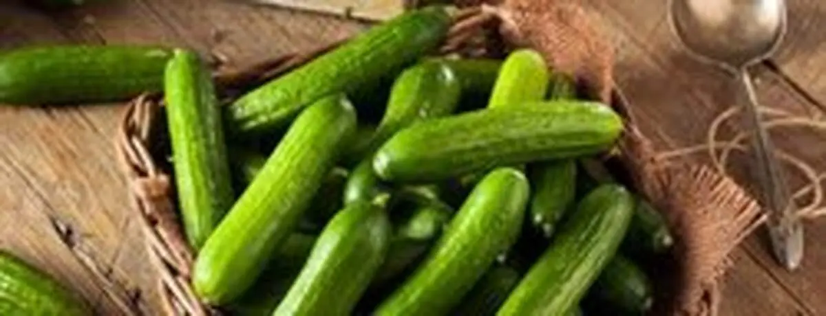 دانستنی هایی درباره فواید خیار