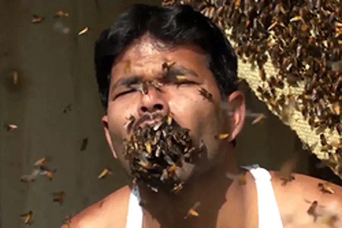 هل دادن یک مشت زنبور در داخل دهان توسط مرد هندی + فیلم
