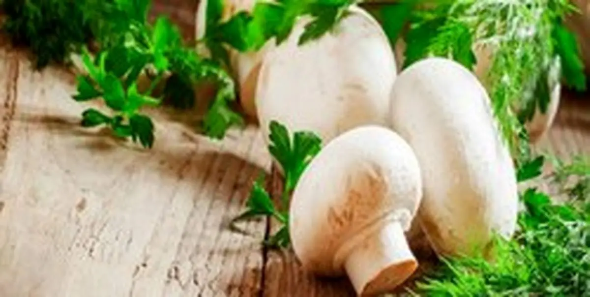 هشدار درباره خطر مصرف قارچهای سمی