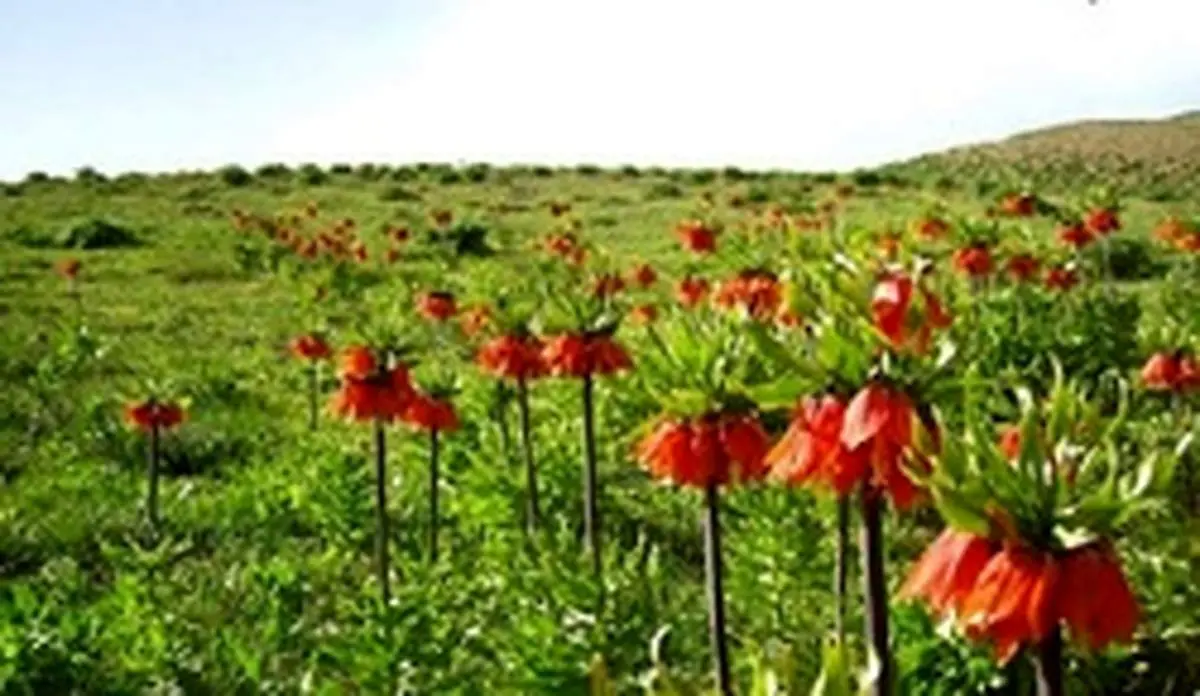 پیشنهاد نوروزی؛ به شهر‌های بهاری ایران سفر کنید